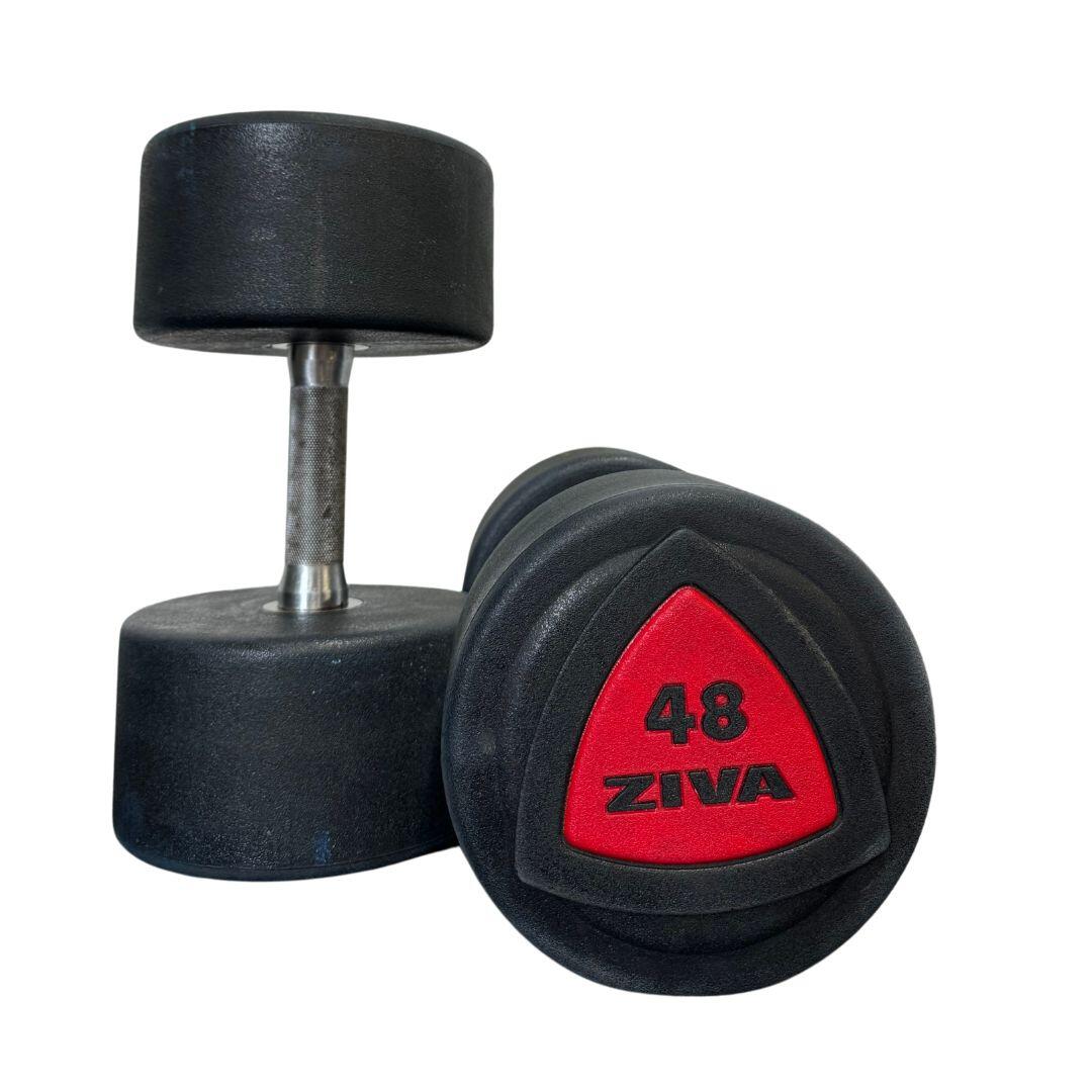 ZIVA Used Ziva ZVO Urethane Dumbbell Pair - Grade D
