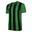 Maillot RAMONE Adulte (Émeraude / Noir)