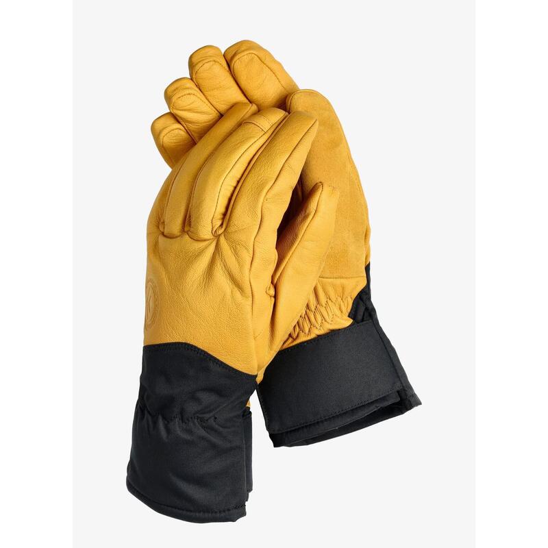 daa11a98-beaa-41b4-85a7-8bb96c1f2caf_c22