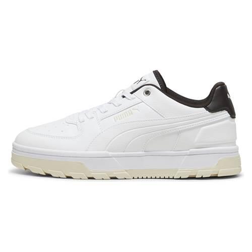 PUMA picture