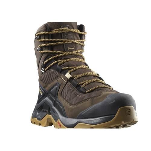 SALOMON picture