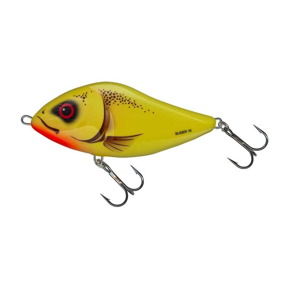 SALMO picture