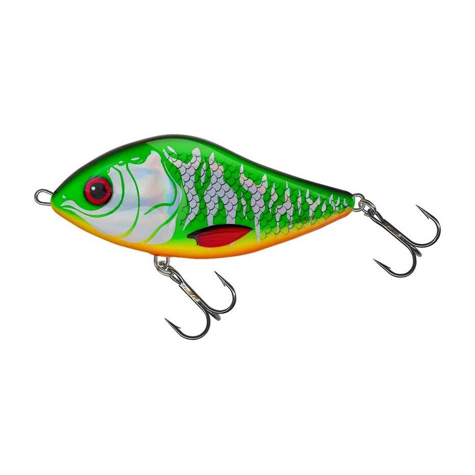 SALMO picture