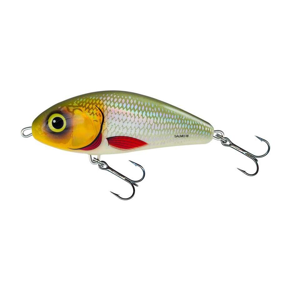 SALMO picture