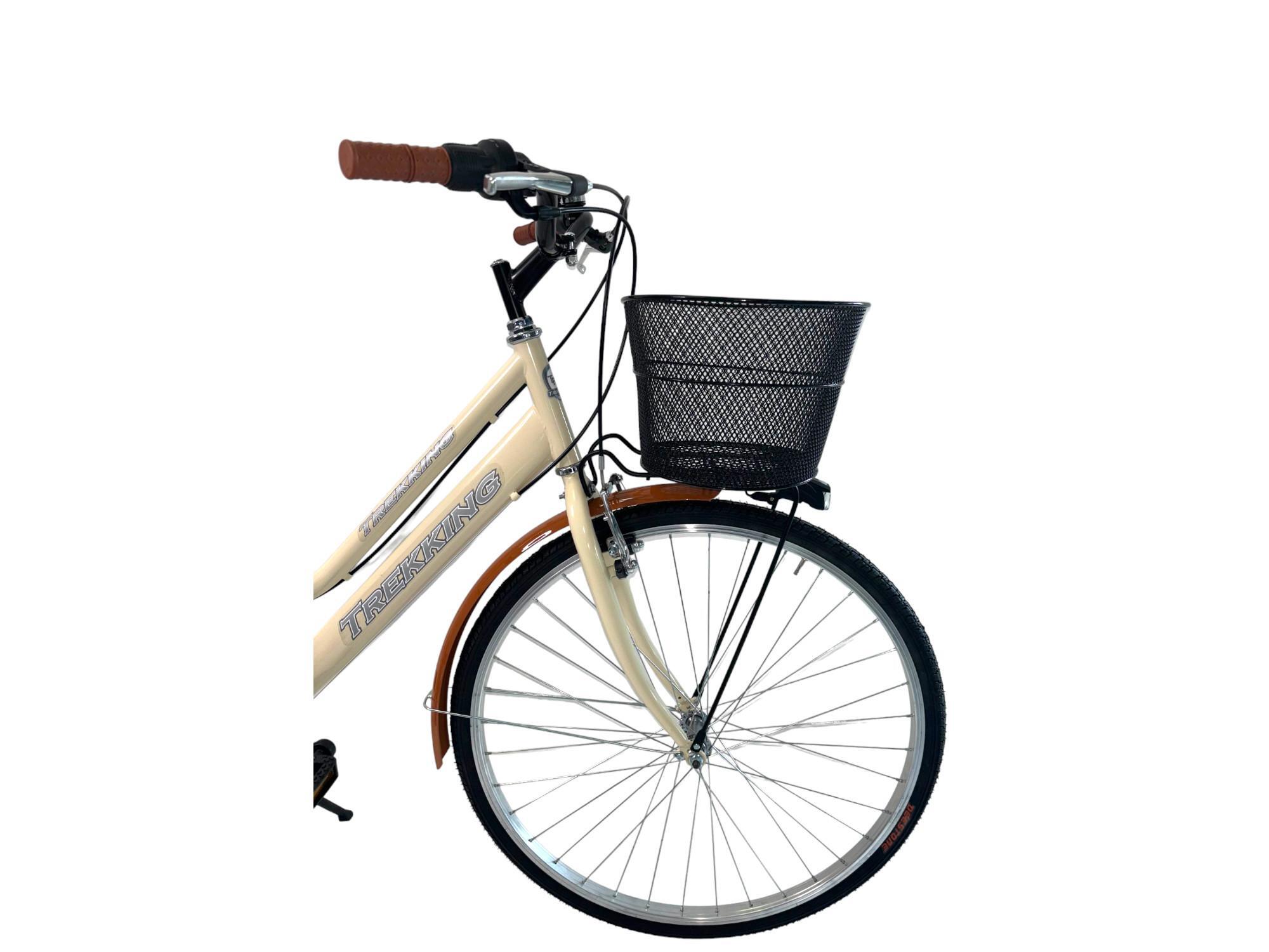 Bicicletta Donna Passeggio Misura 28 Bici Da Città Beige Con Cambio E 2 Cestini 4/7