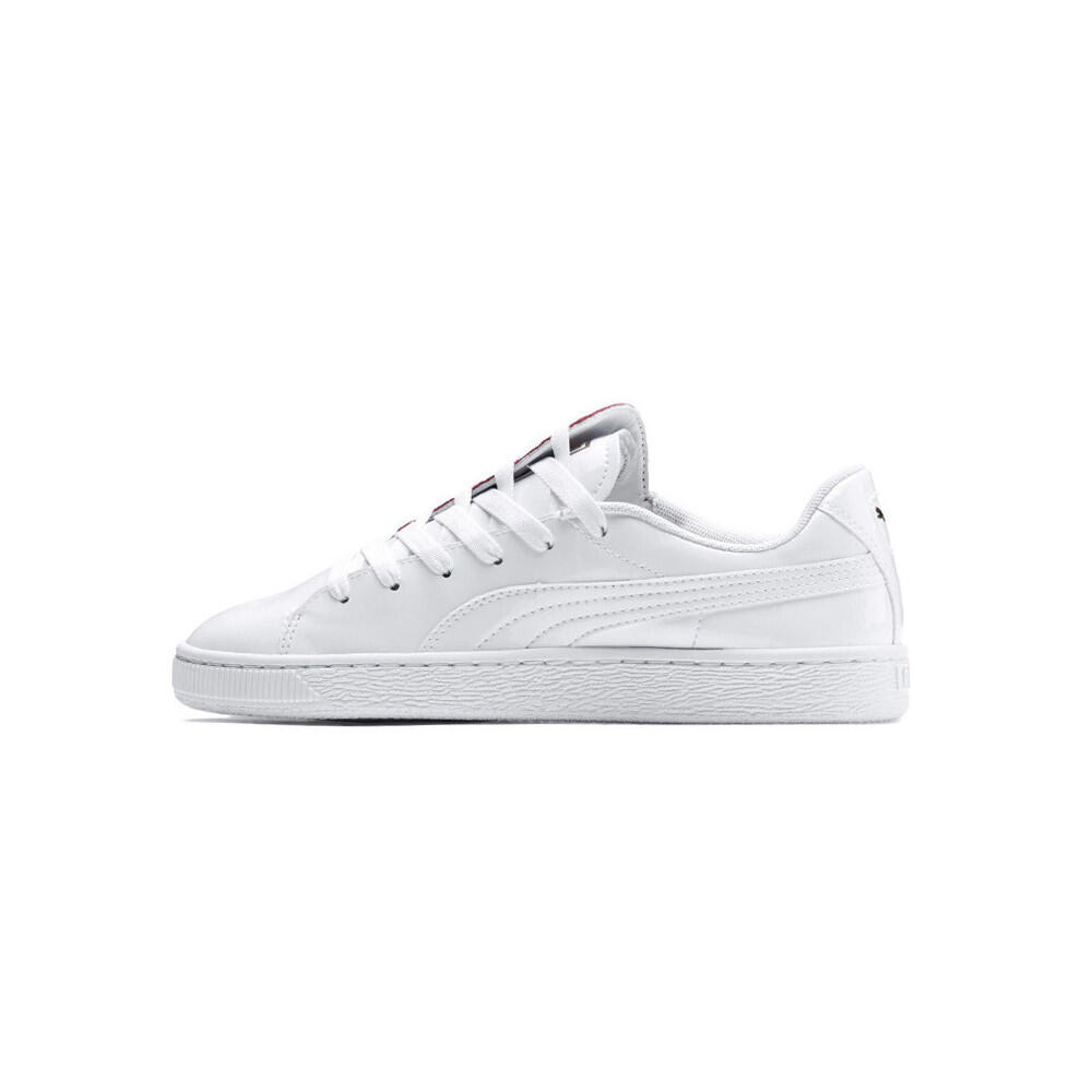 PUMA picture