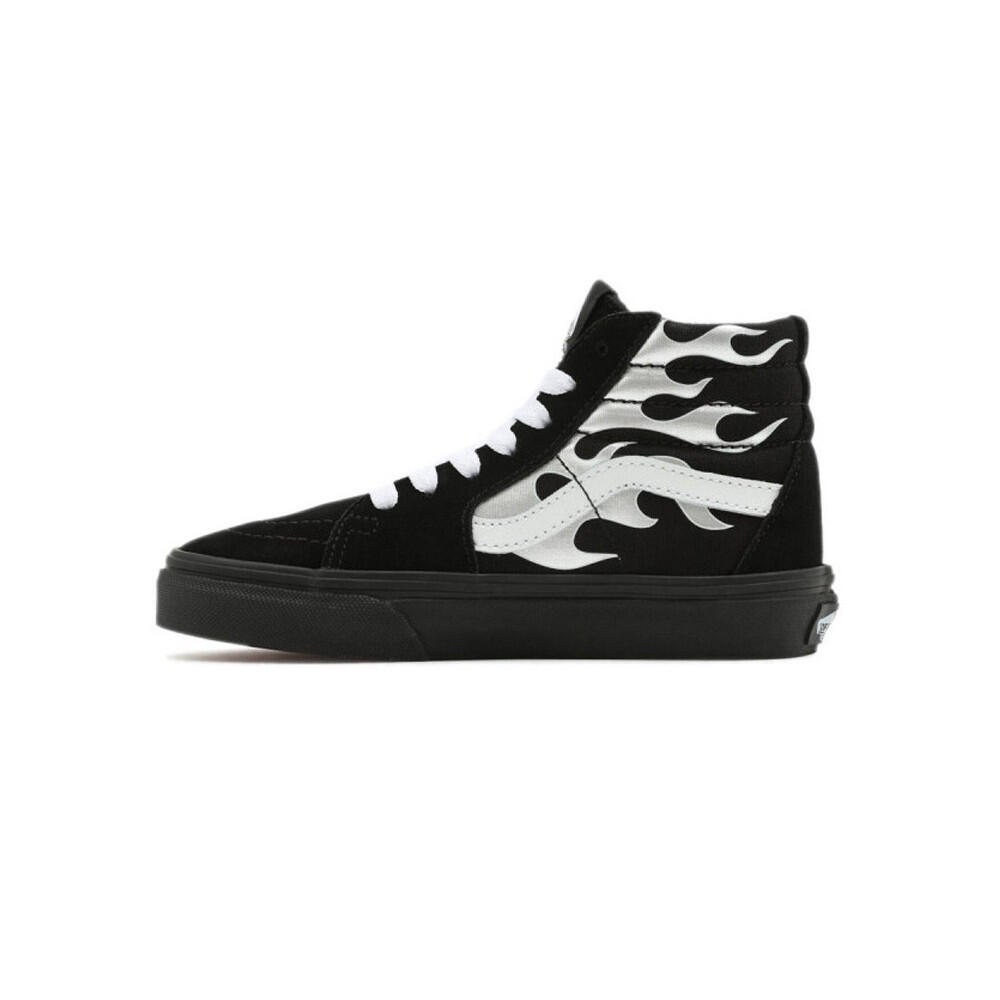 VANS picture