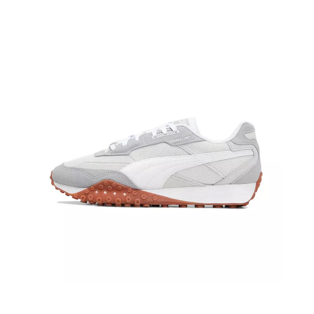 PUMA picture
