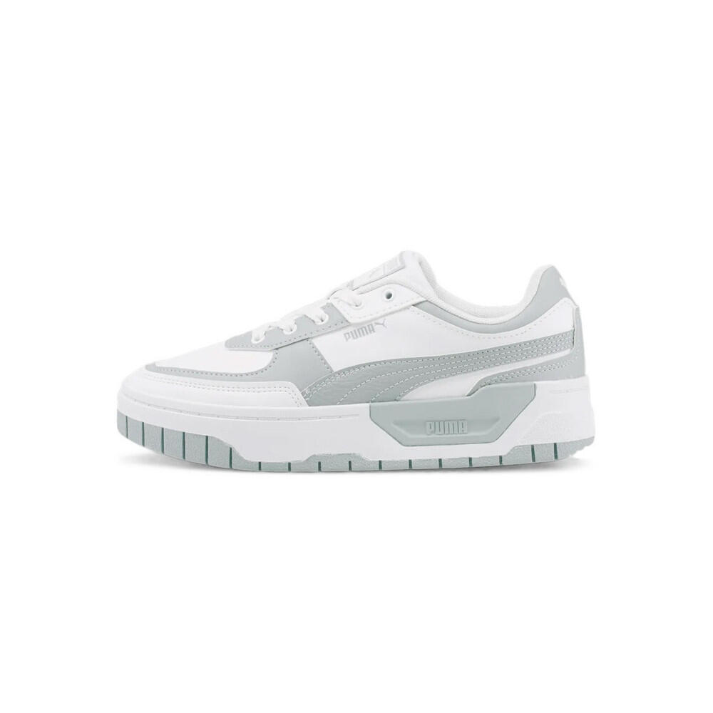 PUMA picture