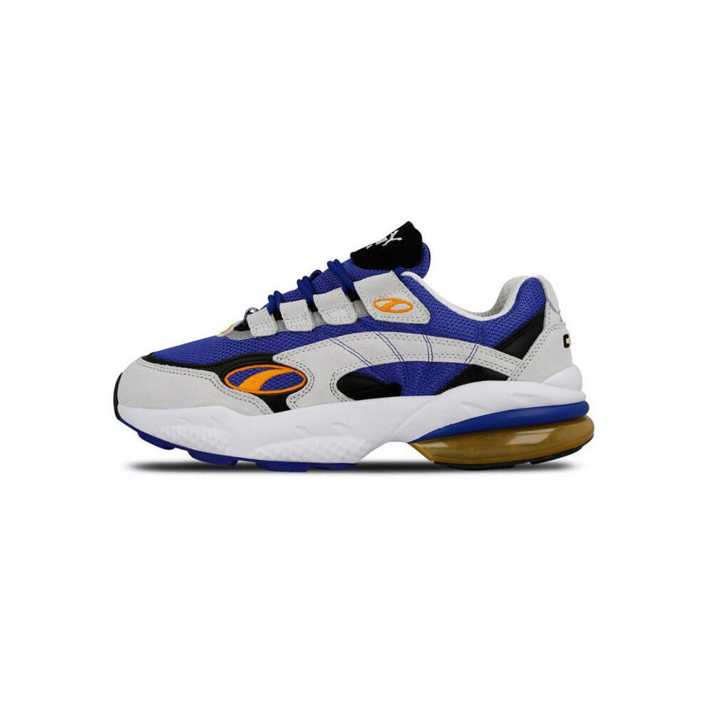 PUMA picture