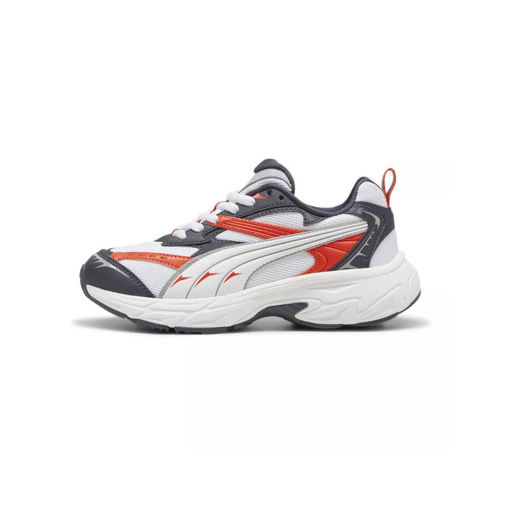 PUMA picture