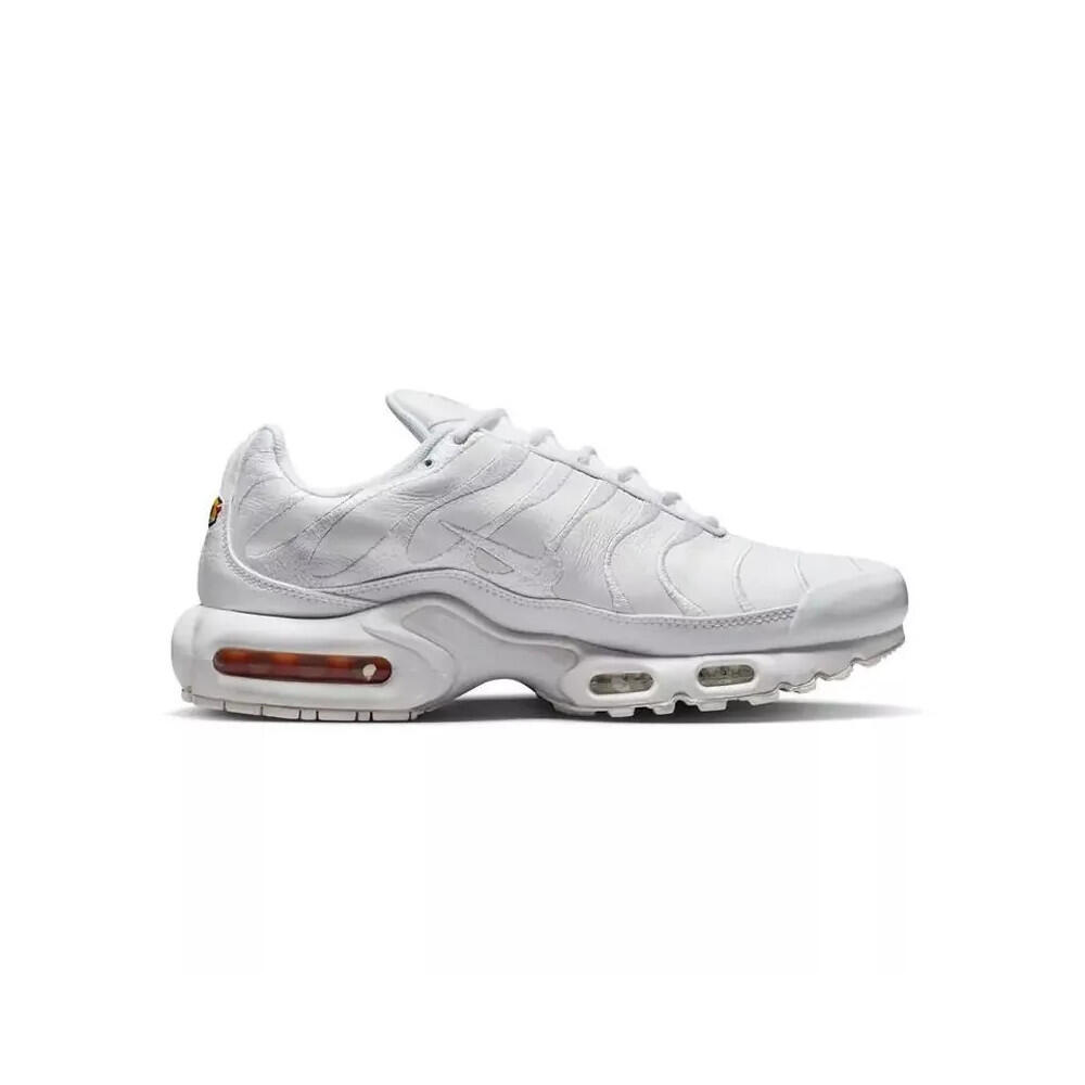 Zapatillas Nike Air Max Plus 3/5
