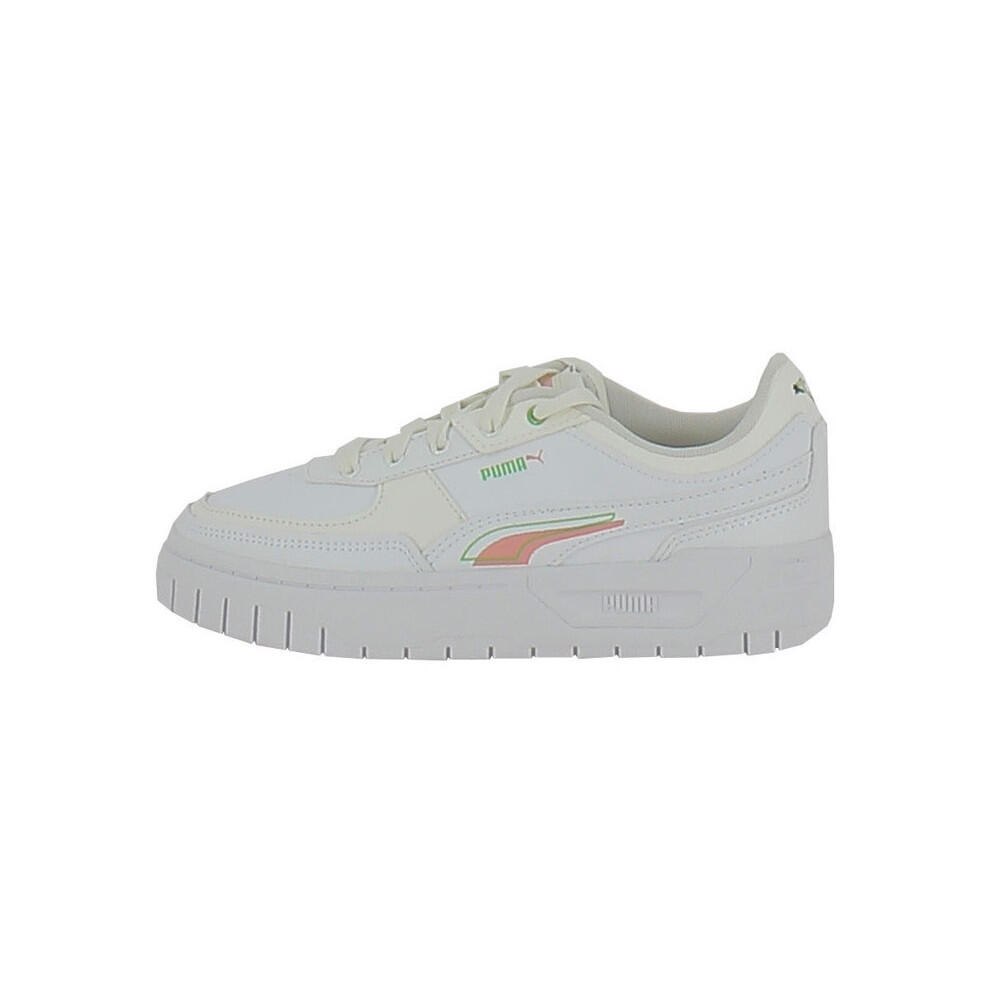 PUMA picture