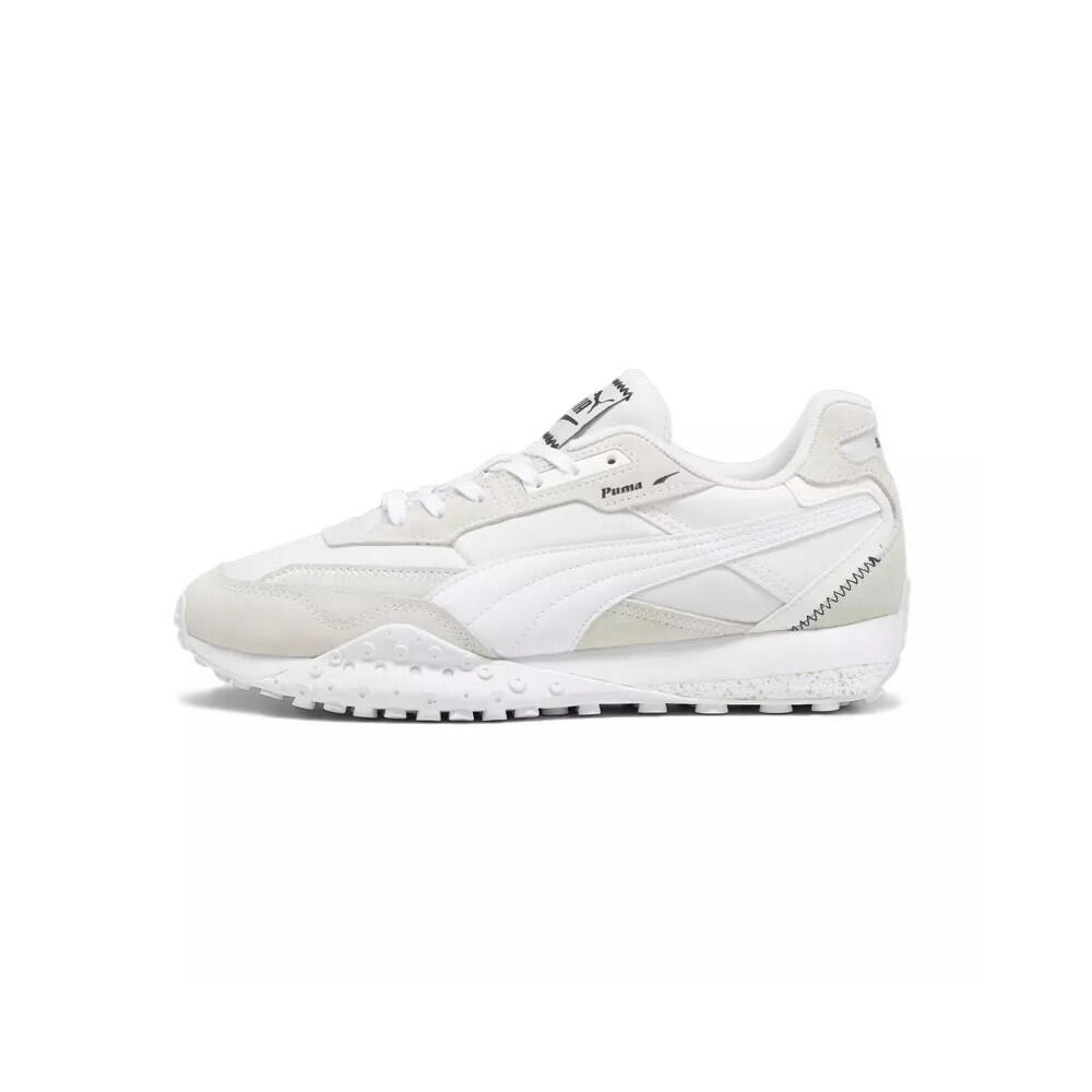 PUMA picture