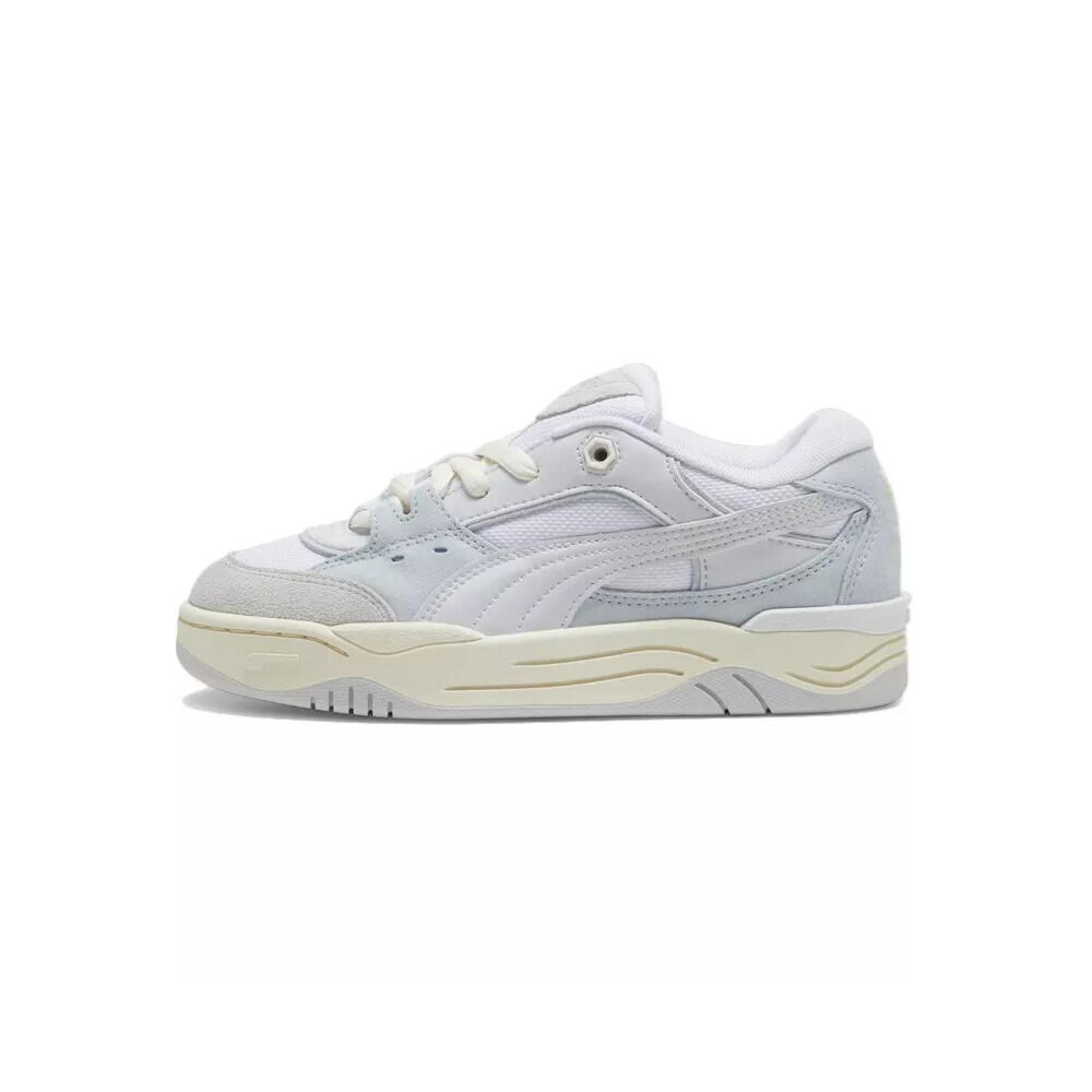 PUMA picture