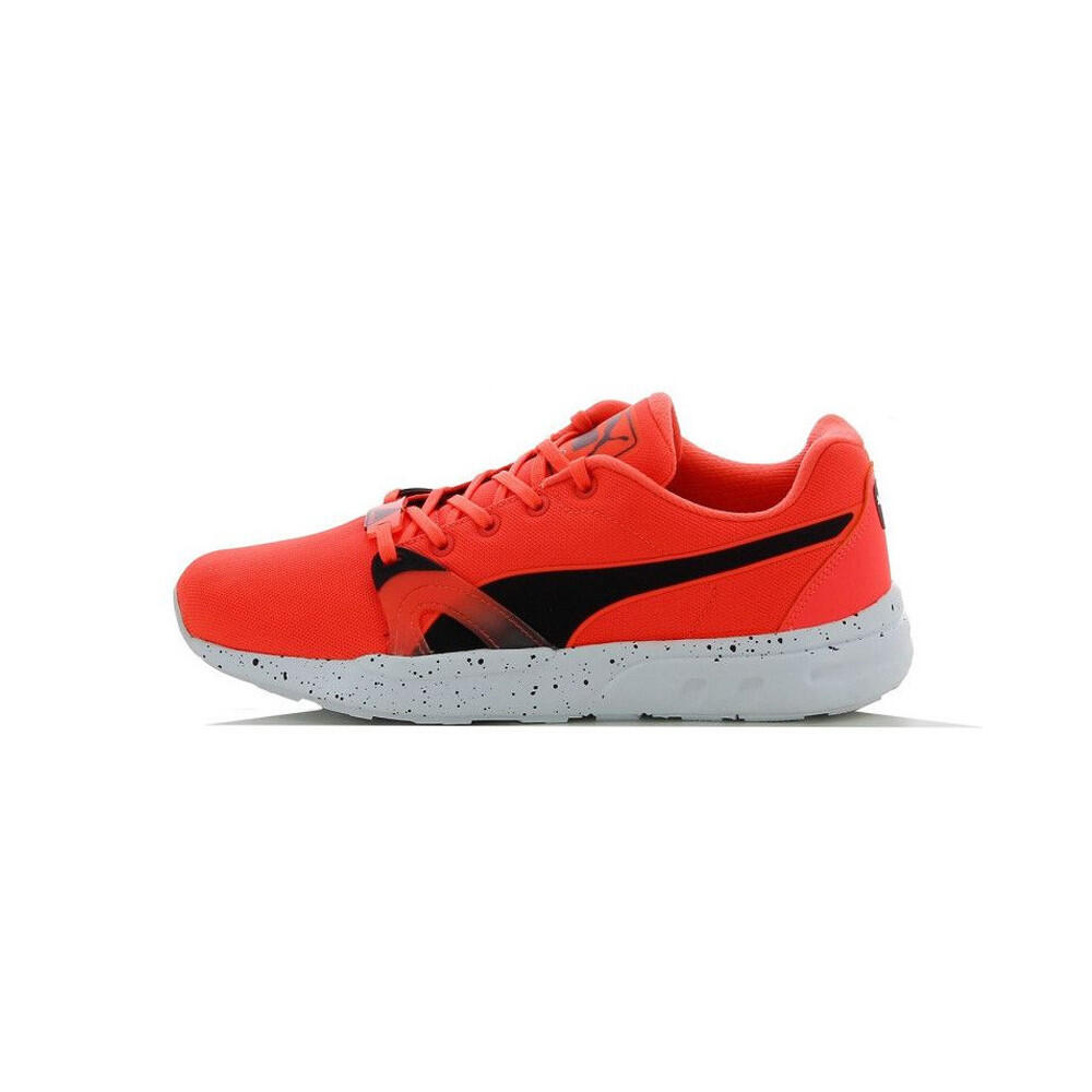 PUMA picture
