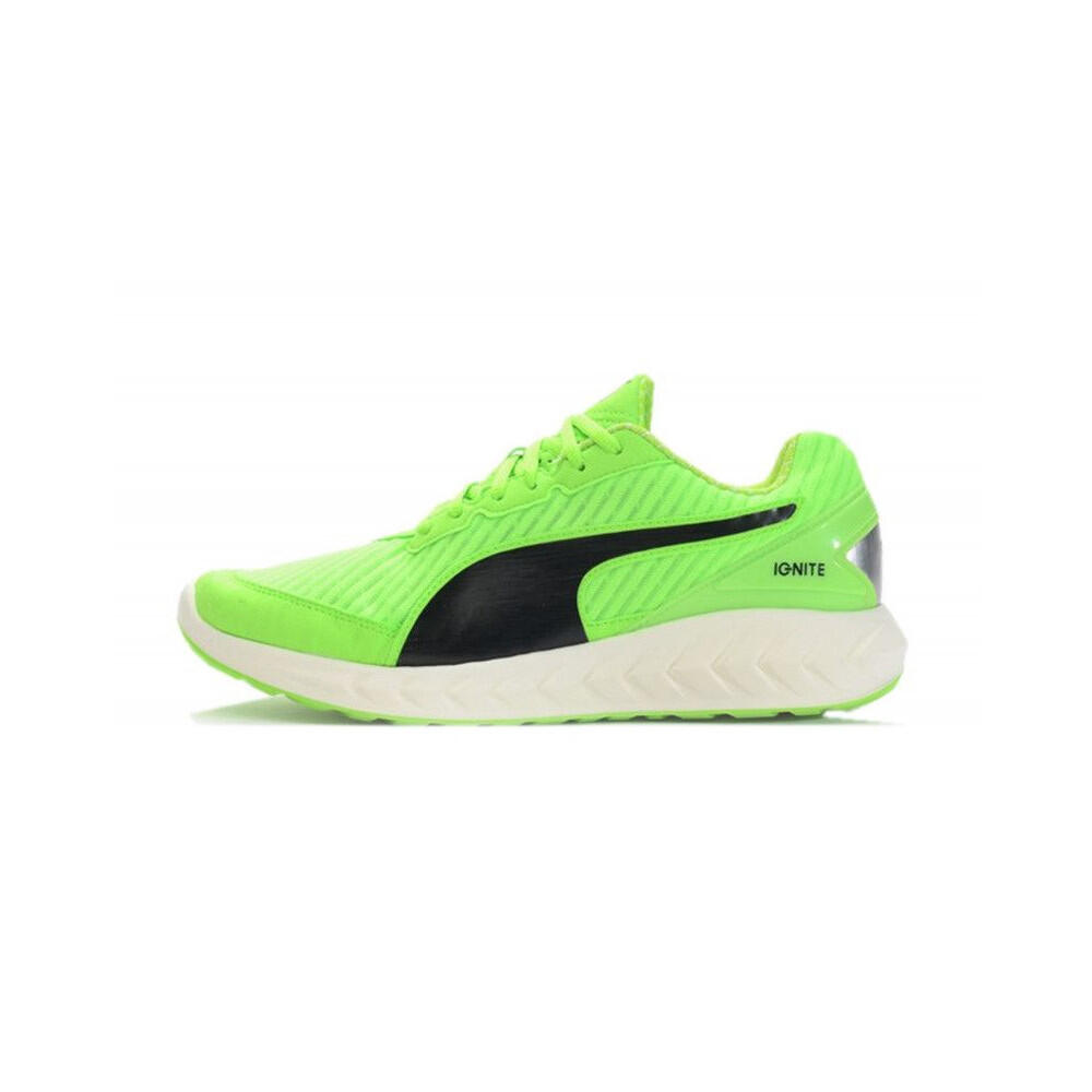 PUMA picture