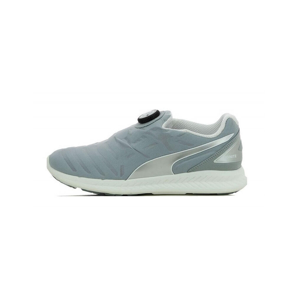 PUMA picture