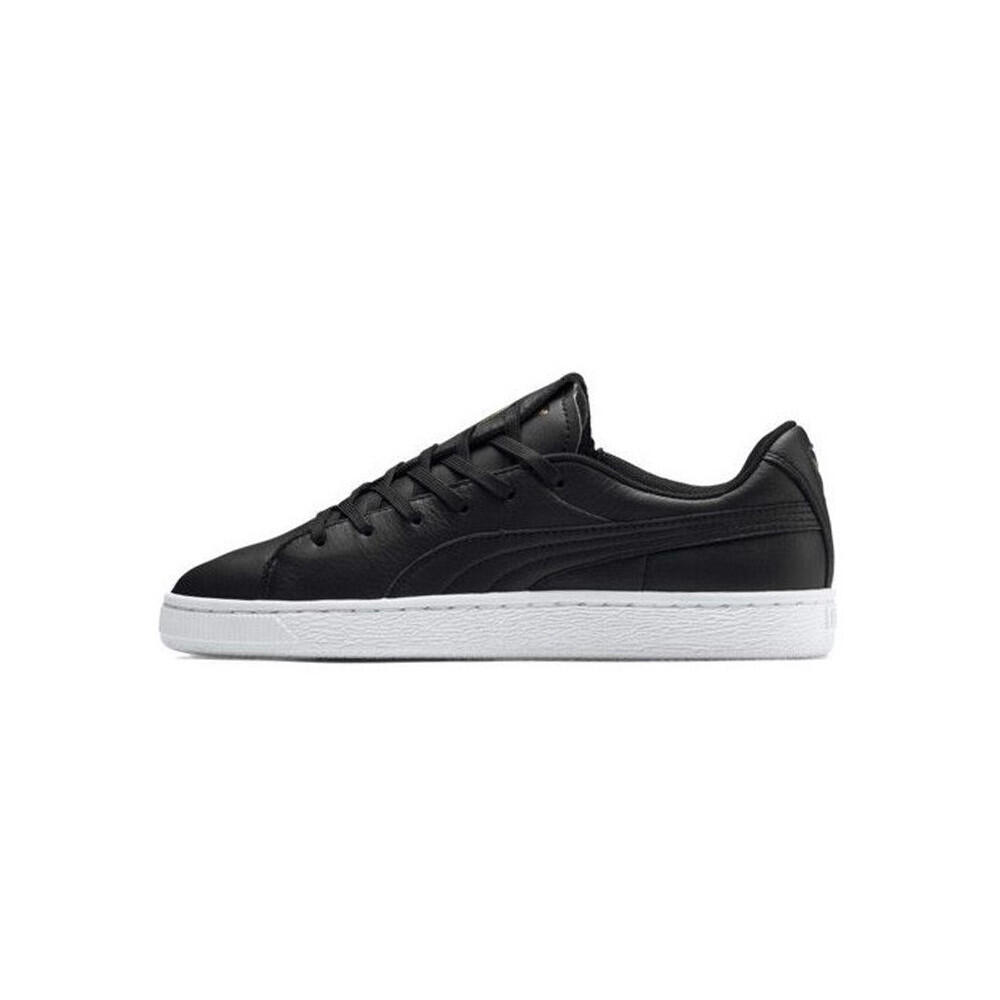 PUMA picture
