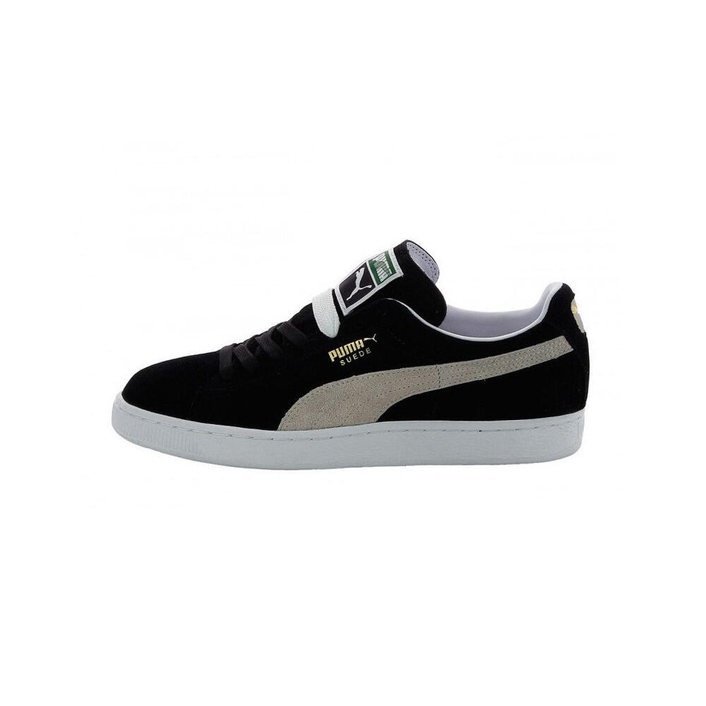 PUMA picture