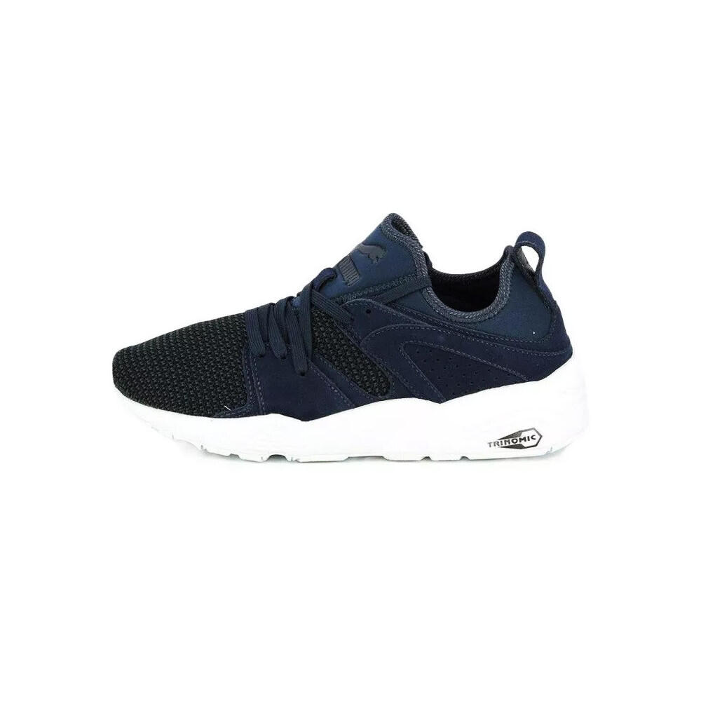 PUMA picture