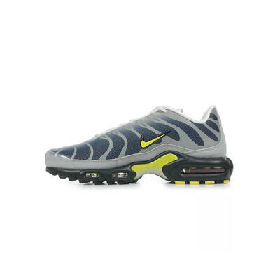Schoenen universeel voor heren nike air max plus