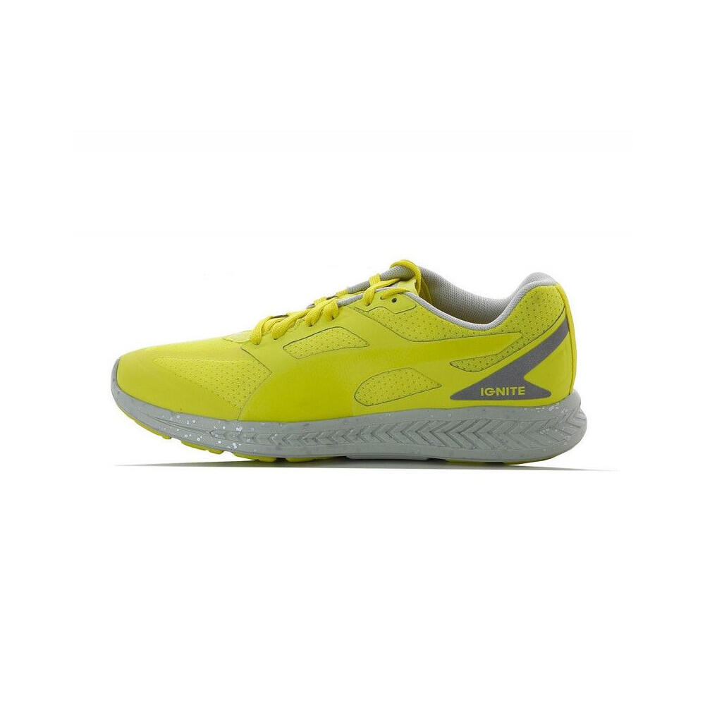 PUMA picture