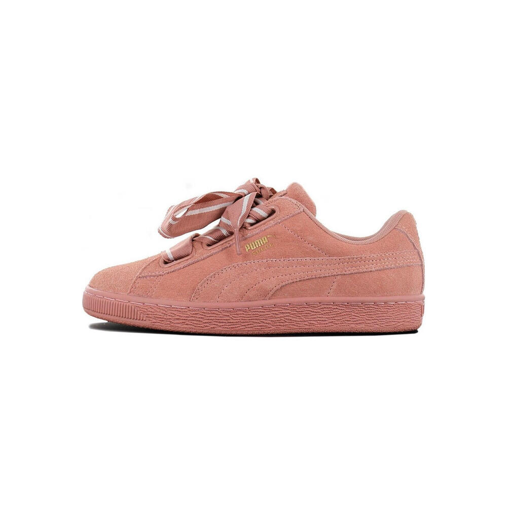 PUMA picture