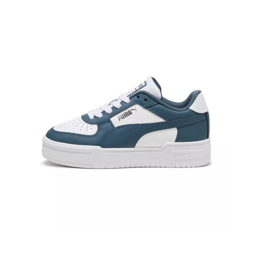 PUMA picture
