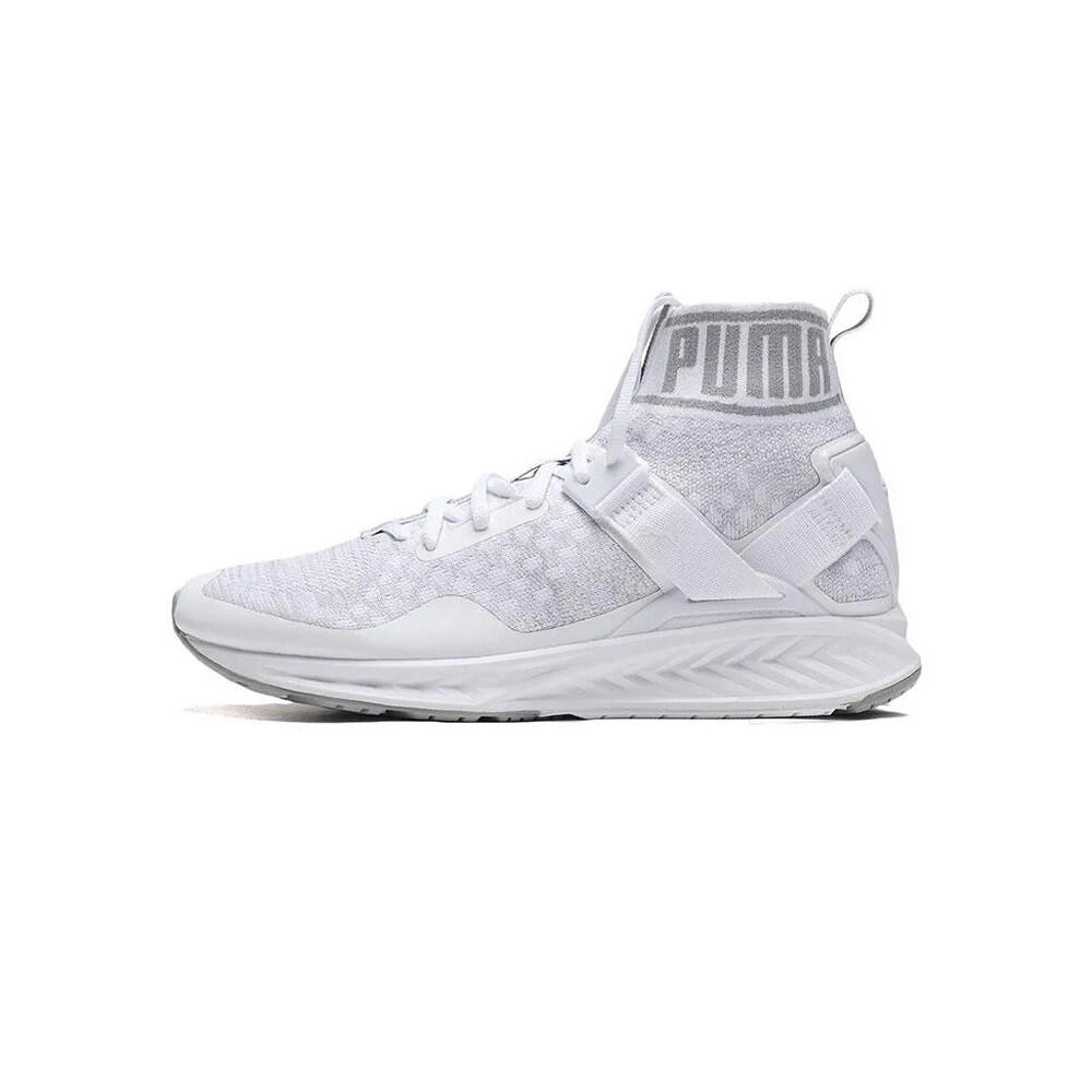PUMA picture