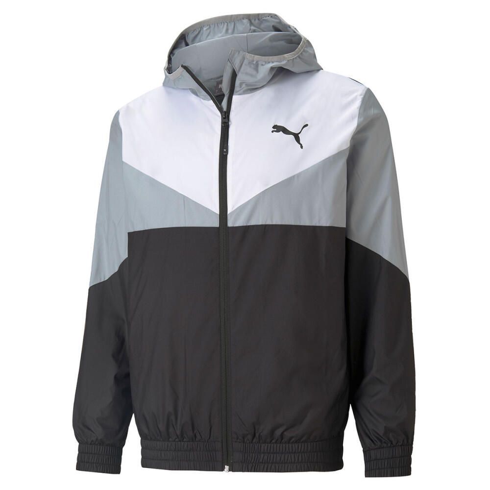 PUMA picture
