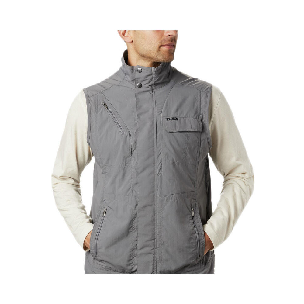 gris acier