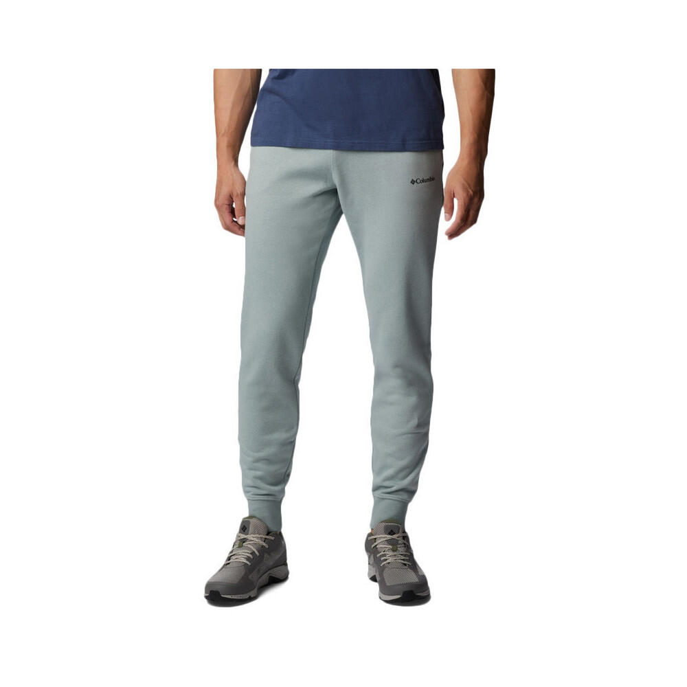 bleu bleuet