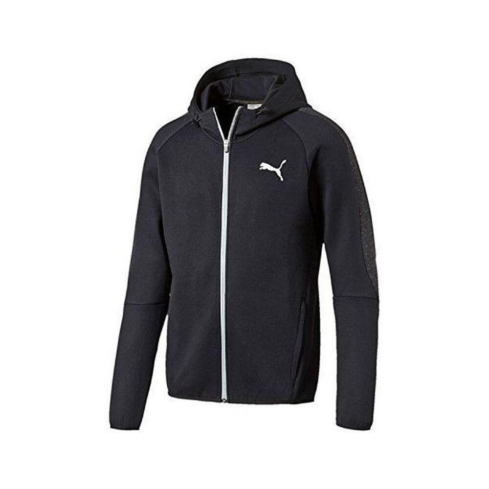 PUMA picture