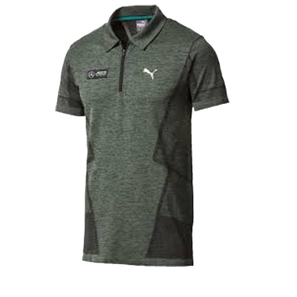 PUMA picture