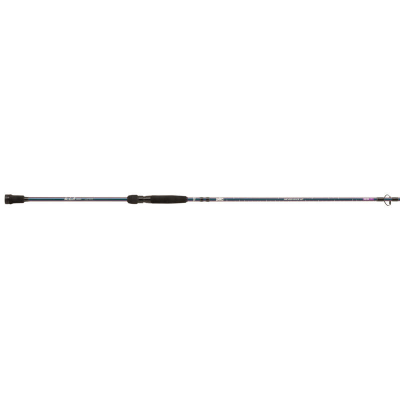 Canne spinning Abu Garcia 5-21 g