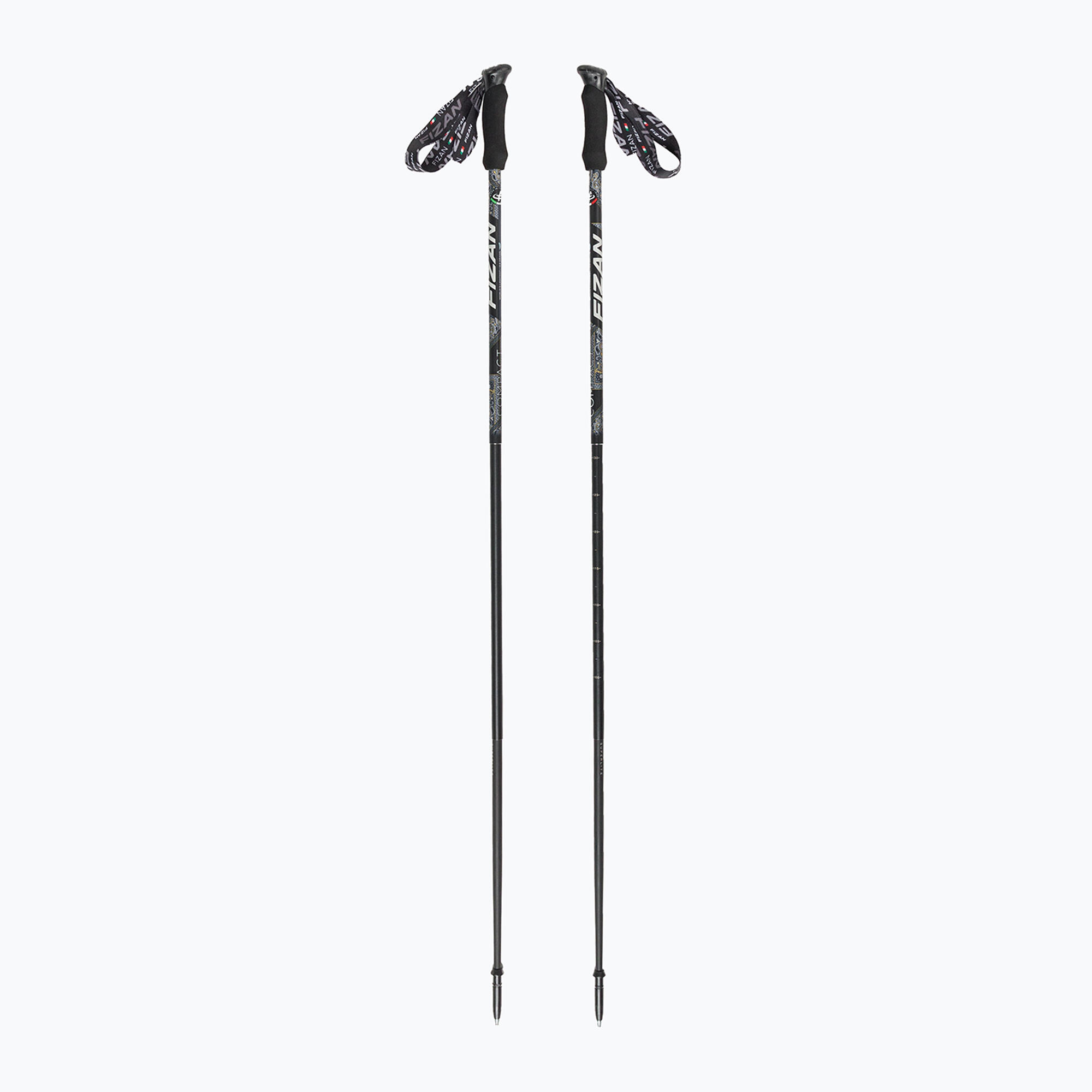 FIZAN Fizan Compact MS-trekkingstokken