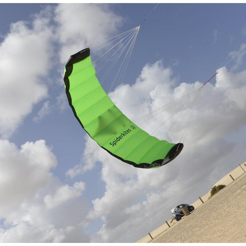 Spinkites Amigo 1.75 Verde 10021 Verde 175 x 61 cm 7/7