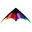 Cerf-volant  2 lignes   -Elliot   -Delta Sport Rainbow/Black