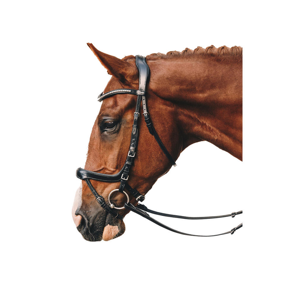 Bridón de equitación anatómico Schockemöehle Equitus Omega 2/4