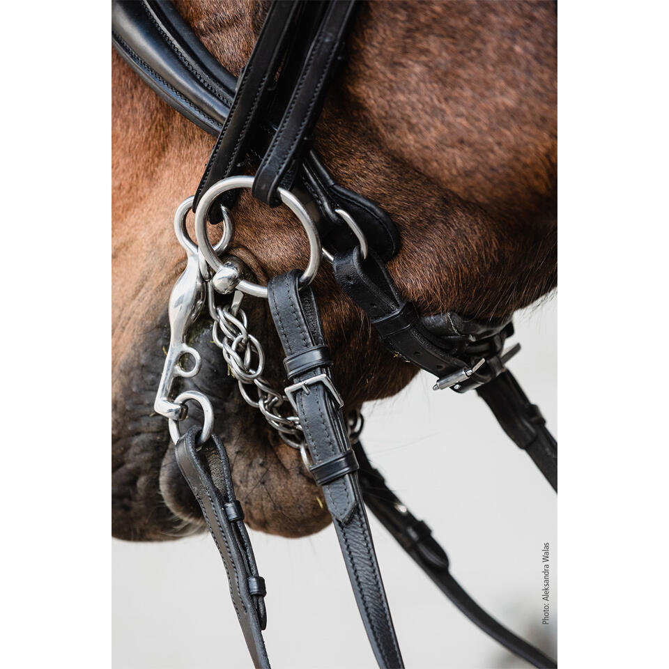 Bridon équitation anatomique Schockemöehle Milton 3/4
