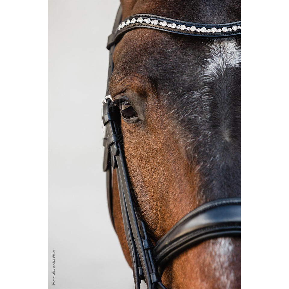 Milton Double Bridle 4/4