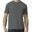 Tshirt SOFTSTYLE EZ Adulte (Gris Orage)
