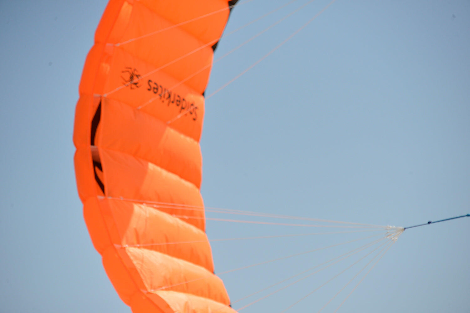 Spiderkites Amigo 1.75 Laranja 10022 Laranja 175 x 61 cm 5/7