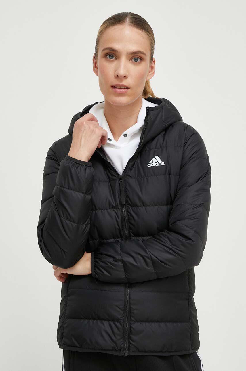 ADIDAS Jas Adidas Essentials Light Down Hooded voor vrouwen