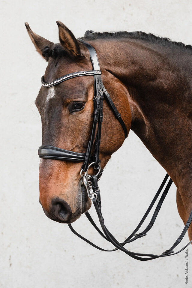 SCHOCKEMÖHLE Milton Double Bridle