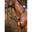 Dy'on Running Martingale - Working Collection Bruin -