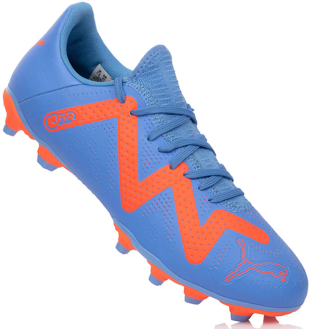 PUMA picture