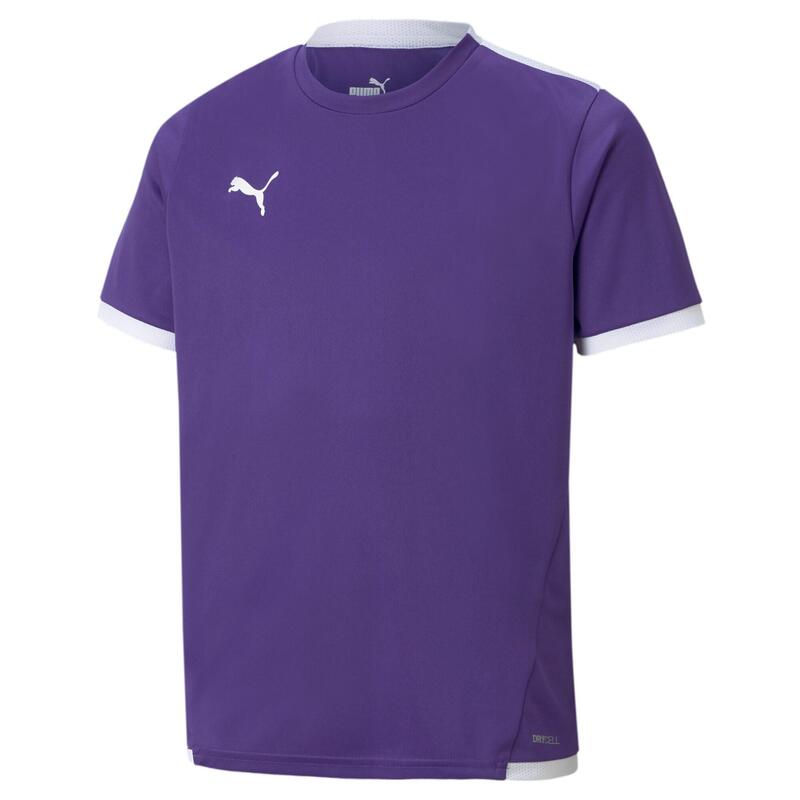 Koszulka do piłki nożnej dla dzieci Puma JR Teamliga Jersey