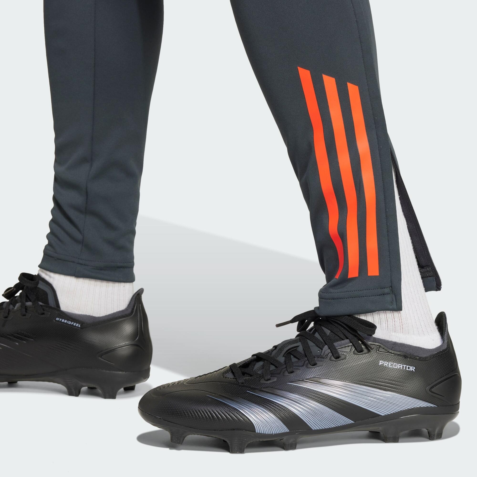 Benfica Tiro 24 Competition Training Broek 5/7